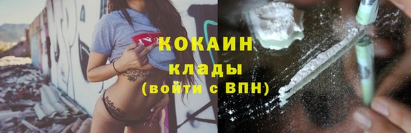 дмт Белокуриха
