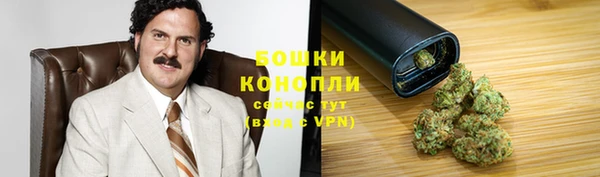МДПВ Гатчина