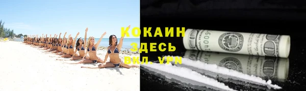 дмт Белокуриха