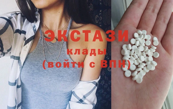 шишки Гвардейск