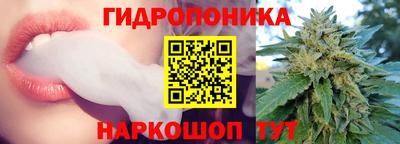 амф Гай