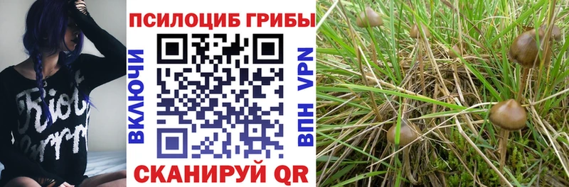 MEGA ссылки  Кириши  Псилоцибиновые грибы MAGIC MUSHROOMS 