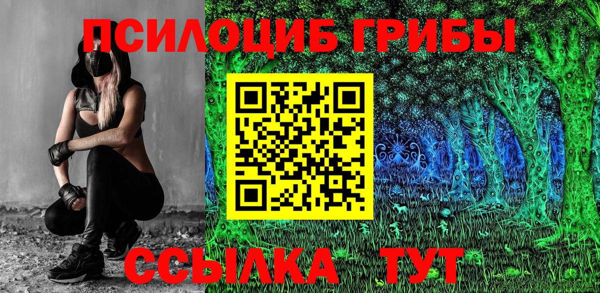 Кириши  Галлюциногенные грибы MAGIC MUSHROOMS  Вход с VPN 