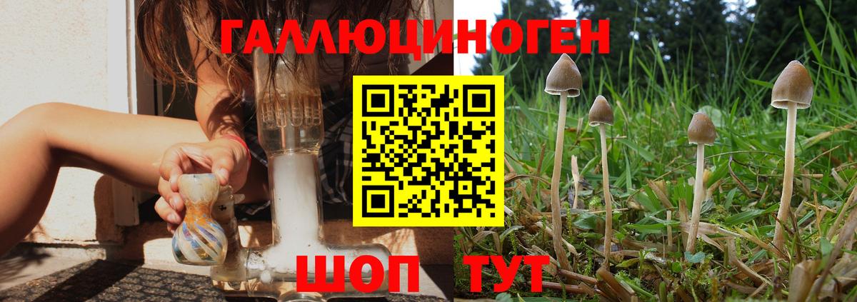 Галлюциногенные грибы GOLDEN TEACHER Кириши